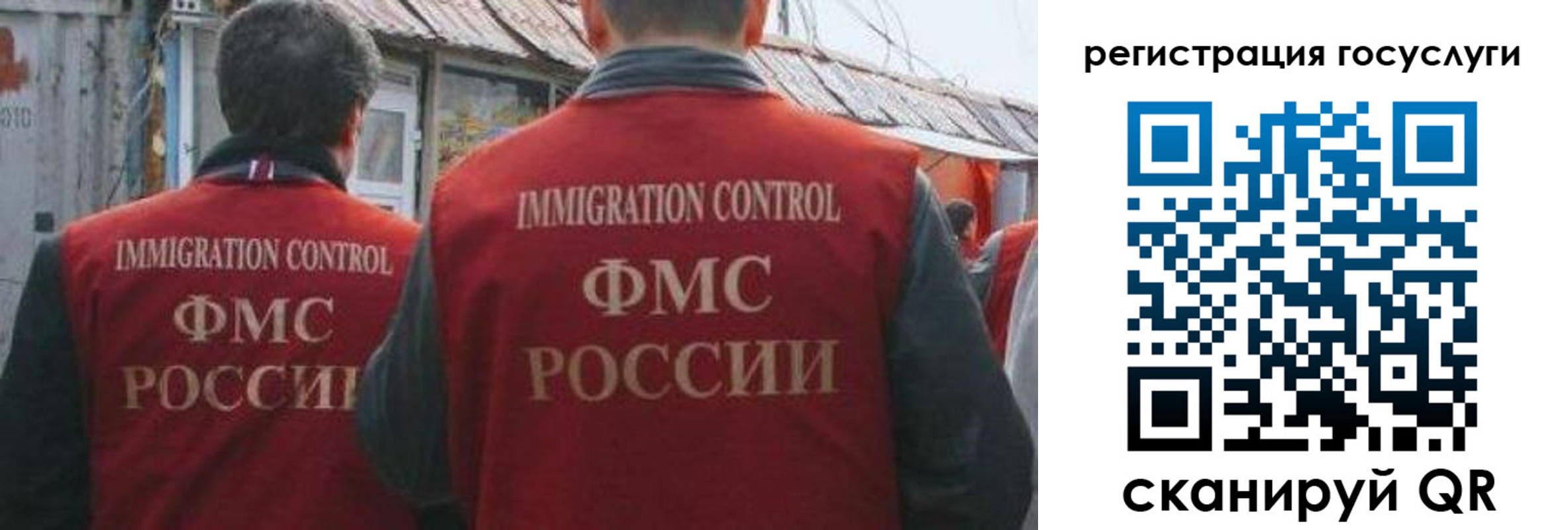 прописка поиск в Павловске